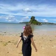 ぴんがちゃの画像