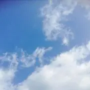 しゃちほこ。プロフィール必読！の画像
