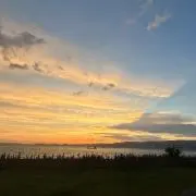 ˙˚ʚ₍ ᐢ. ̫ .ᐢ ₎ɞ˚の画像