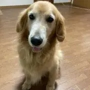 おくちゃん