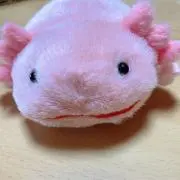 ゆう
