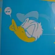 ノンナの画像