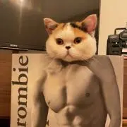 ぱんどらの画像