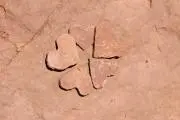 705