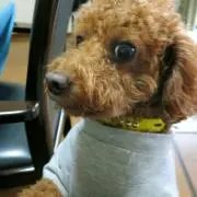 まさき