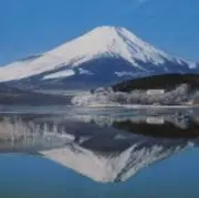BOMの画像