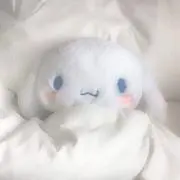 次回発送は6/28の画像