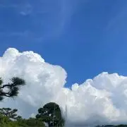 mkの画像