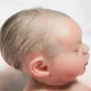 リトルベビーハウスの画像