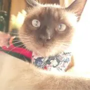 ゆう