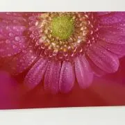 rnnnaの画像