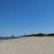 ぽん