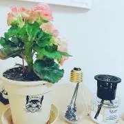 ゆっころ