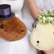 カピさん