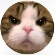 teto【⚠️プロフ必読お願いします】の画像