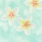 みんとの画像