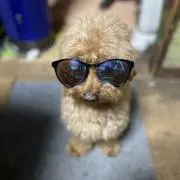 まっちゃんの画像