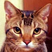パブロ丸の画像