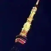 トライトーンの画像