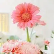 Lily❁parts雑貨 購入前コメントの画像