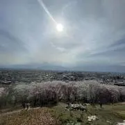 キリン屋さんの画像