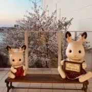 Image of 金木