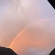 ゆの画像