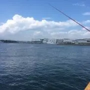 tomoの画像