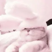 にゃんzzz 4日まで発送不可の画像