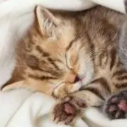 のっち♪プロフ見てください(^w^)