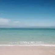 ろみの画像