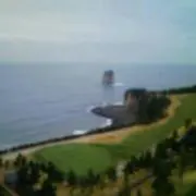 ***mayumi***の画像