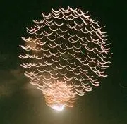 ＊＊チコロ＊＊の画像