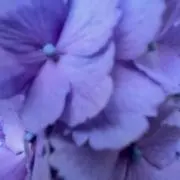 ああ