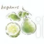 Bergamotの画像