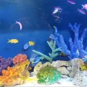 みらいの画像