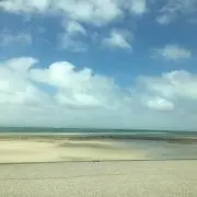 niyuの画像