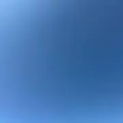 ゆゆゆ