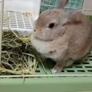 coco✾断捨離中まとめがいお値下げ◎の画像