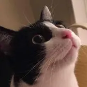 たろ