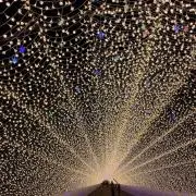 riiiの画像