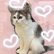 ななの画像
