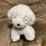 ゆめのすけ