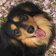 こばやん