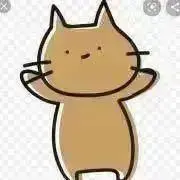 ねこねこさん。の画像