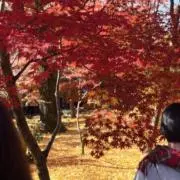 三国堂の画像