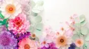 NaturaBloom＠24時間以内発送の画像