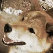 りっちぁん