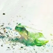 にわかあめ※プロフ必読の画像