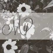 - M y -